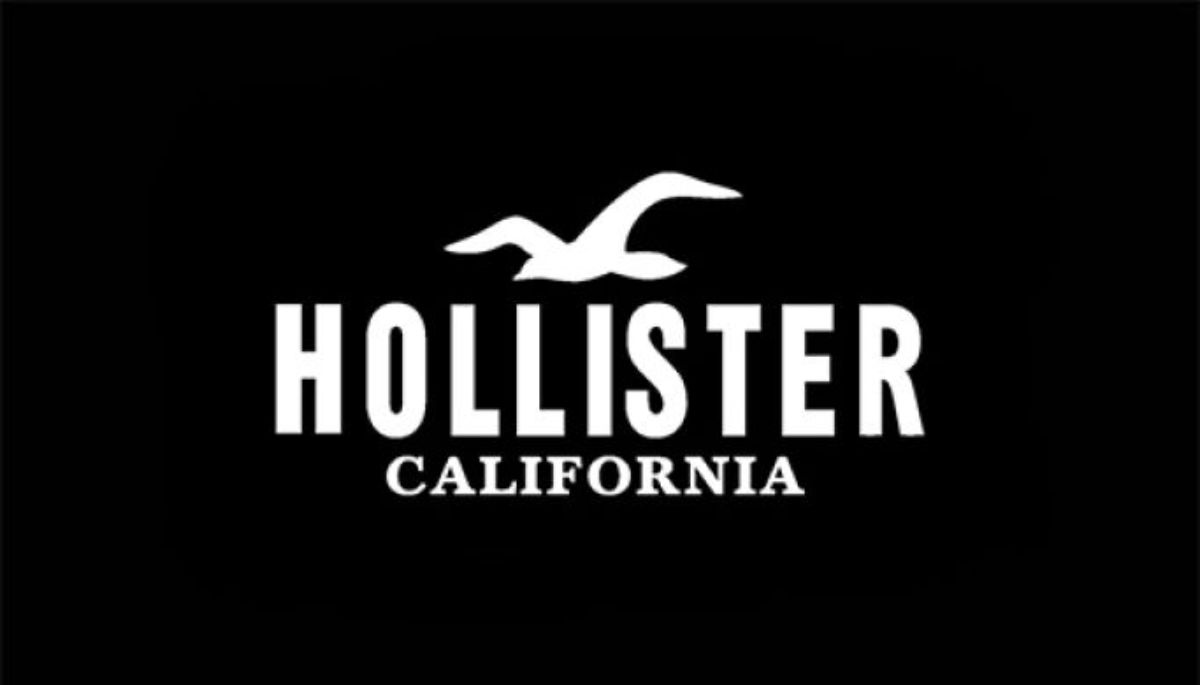 Hollister Logo  Hollister logo, Hollister, Hollister clothes